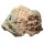 Rhodochrosite on Quartz Bulgaria approx.8x7.5cm