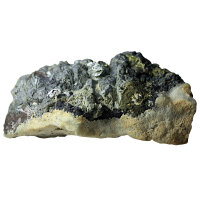 Galena Lead Glance with Chalcopyrite Bulgaria approx. 10x8cm with Skeleton Crystals
