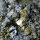 Galena Lead Glance with Chalcopyrite Bulgaria approx. 10x8cm with Skeleton Crystals