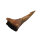 Fossil Rostral Tooth Onchopristis numidus Pseudosawfish Marokko 7.3cm