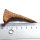 Fossil Rostral Tooth Onchopristis numidus Pseudosawfish Marokko 7.3cm