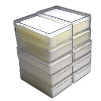 10er Pack Sammeldose transparent 8 x 5 cm mit Schaumstoffeinlage weiß