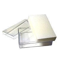 10er Pack Sammeldose transparent 8 x 5 cm mit Schaumstoffeinlage weiß