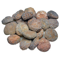 20 Fossile Seeigel stark erodiert aus Marokko ca. 1,7 -...