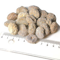 20 fossil Sea Urchins strongly eroded from Morocco approx. 1.7 - 2.5 cm