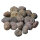 20 fossil Sea Urchins strongly eroded from Morocco approx. 1.7 - 2.5 cm