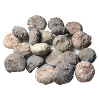 20 Fossile Seeigel stark erodiert aus Marokko ca. 1,7 -...