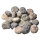 20 fossil Sea Urchins strongly eroded from Morocco approx. 1.7 - 2.5 cm