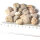 20 fossil Sea Urchins strongly eroded from Morocco approx. 1.7 - 2.5 cm