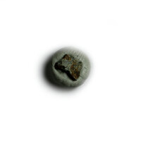 Meteorite Sulagiri - Chondrite from India - 0.06g