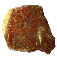 Yellow and red Jasper from Thuringia Germany polished...