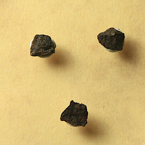 3 Chips Meteorite Jiddat al Harasis 730 - Chondrite from Oman - 0.1g together
