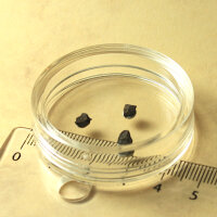 3 Chips Meteorite Jiddat al Harasis 730 - Chondrite from Oman - 0.1g together