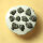 10 Chips Meteorite Djoumine - Chondrite from Tunisia - 0.15g together