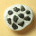10 Chips Meteorite Aiquile - Chondrite from Bolivia - 0.13g together