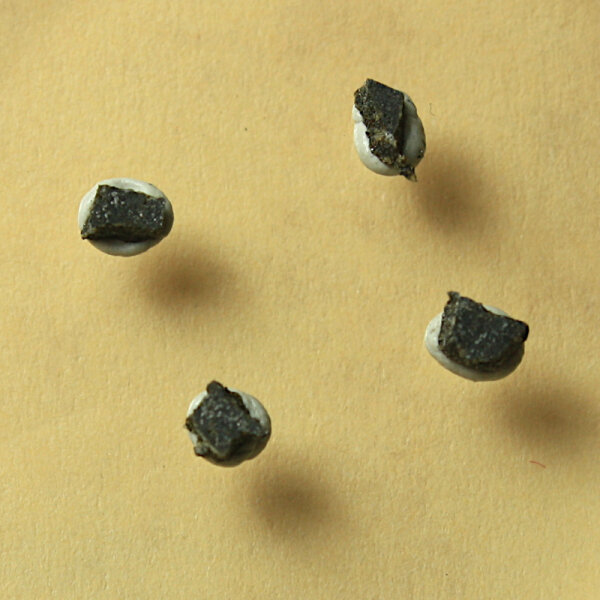 4 Chips Meteorite Estacado - Chondrite from Texas (USA) - 0.09g
