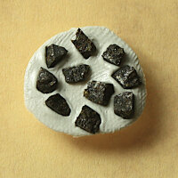 10 Chips Meteorite NWA 11161 - Ureilite from Northwest Africa - 0.18g together
