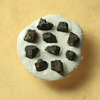 10 Chips Meteorite NWA 11161 - Ureilite from Northwest Africa - 0.15g together
