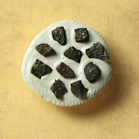 10 Splitter Meteorit Nwa 11161 - Ureilit aus Nordwestafrika - zusammen 0,12g
