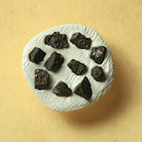 10 Splitter Meteorit Nwa 11161 - Ureilit aus Nordwestafrika - zusammen 0,10g