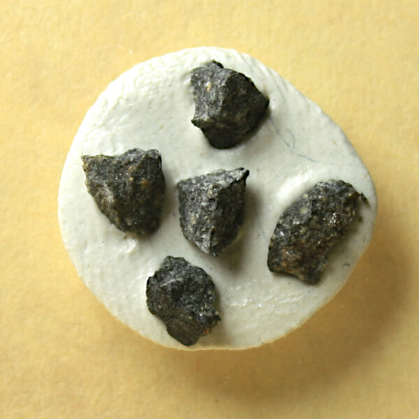 5 Chips Meteorite Buzzard Coulee - Chondrite from Canada - together 0.19g