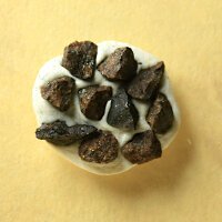 10 Chips Meteorite Gao-Guenie - Chondrite from Burkina Faso - together 0.16g
