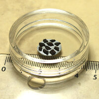 10 Splitter Meteorit Gao-Guenie - Chondrit aus Burkina Faso - zusammen 0,20g
