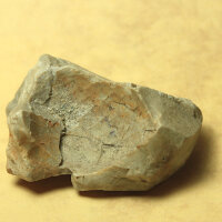 2 Flintstones with Sea Urchin Imprints Germany approx. 5-9cm