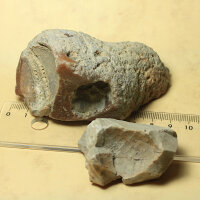 2 Flintstones with Sea Urchin Imprints Germany approx. 5-9cm