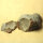 2 Flintstones with Sea Urchin Imprints Germany approx. 5-9cm