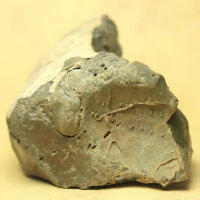 2 Flintstones with Sea Urchin and Spine Imprints Germany approx. 5.5-7.5cm