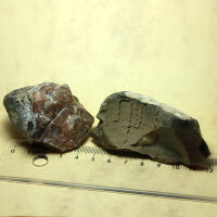 2 Flintstones with Sea Urchin and Spine Imprints Germany approx. 5.5-7.5cm
