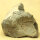 2 Flintstones with Sea Urchin and Spine Imprints Germany approx. 5.5-7.5cm