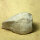 6 fossil Shells internal mold steinkern Egypt approx. 5-6cm Lower Eocene