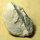 6 fossil Shells internal mold steinkern Egypt approx. 5-6cm Lower Eocene