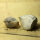 6 fossil Shells internal mold steinkern Egypt approx. 5-6cm Lower Eocene