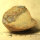 Quartz Pseudomorph from Lower Lusatia Germany polished approx. 6x6cm