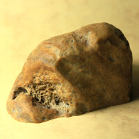 Quartz Pseudomorph from Lower Lusatia Germany polished approx. 6.5x4cm