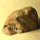 Quartz Pseudomorph from Lower Lusatia Germany polished approx. 6.5x4cm