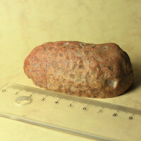 Tertiary Quartzite from Lower Lusatia Germany polished approx. 7.5x4cm