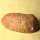 Tertiary Quartzite from Lower Lusatia Germany polished approx. 7.5x4cm