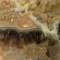 Smoky Quartz from Lower Lusatia Germany polished approx....
