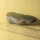 Chert from Lower Lusatia Germany polished approx. 9.5x4.5cm