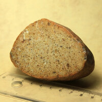Tertiary Quartzite from Lower Lusatia Germany polished approx. 8x5cm