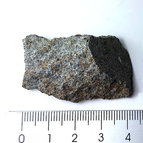 Meteorite Mount Tazerzait - Chondrite from Niger - 18 g