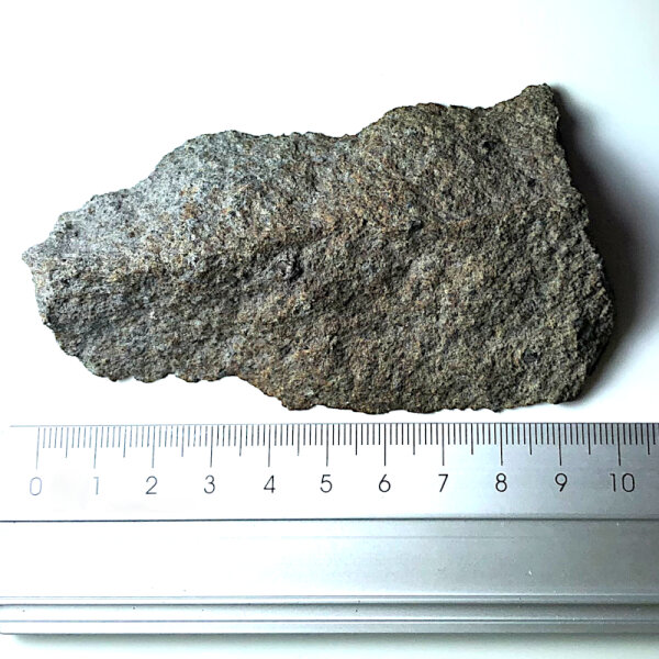 Meteorite Mount Tazerzait - Chondrite from Niger - 139g