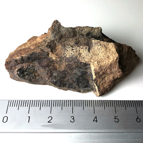 Meteorite Jiddat al Harasis 055 - Chondrite from Oman - 66g