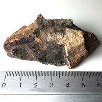 Meteorite Jiddat al Harasis 055 - Chondrite from Oman - 66g