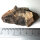 Meteorite Jiddat al Harasis 055 - Chondrite from Oman - 66g