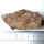 Meteorite Jiddat al Harasis 055 - Chondrite from Oman - 66g